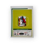 Hawamahal A4 Notebook - Image 14