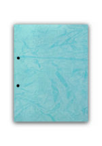 Hawamahal Special Cobra File - Image 3